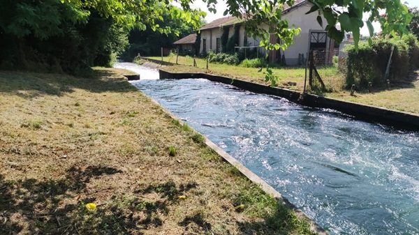 parabiago villoresi annegato soccorsi
