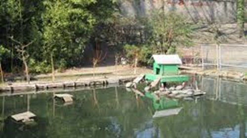 abbiategrasso ratti parco derattizzazione