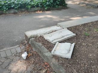 legnano vandali parco centro