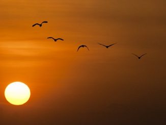 tempo 30 gradi termometro