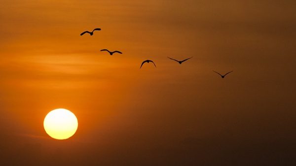 tempo 30 gradi termometro