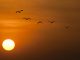 tempo 30 gradi termometro