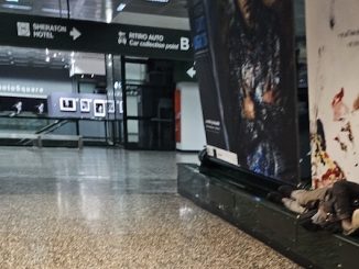 Malpensa senzatetto incontro prefetto