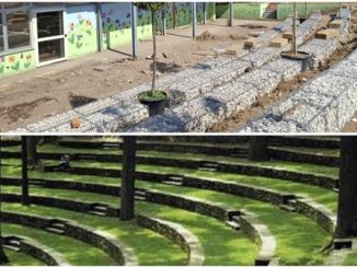 canegrate scuole lavori verde