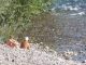 Vizzola ticino multe nudisti
