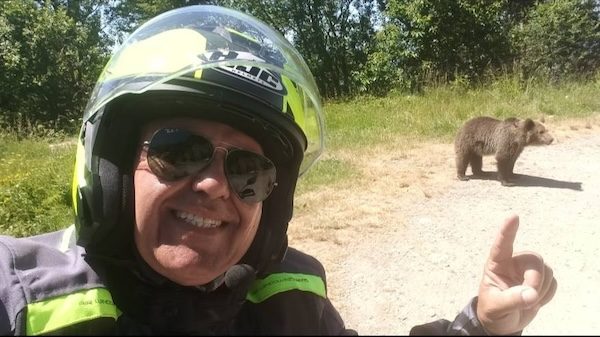 Samarate uomo ucciso orso