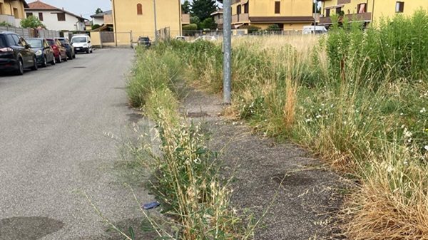 dairago verde rifiuti opposizioni