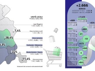 terziario provincia varese dati