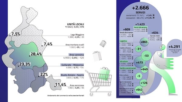 terziario provincia varese dati