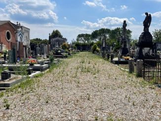 sesto cimitero trascurato impresa