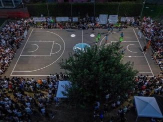 Master Cage basket Cavaria