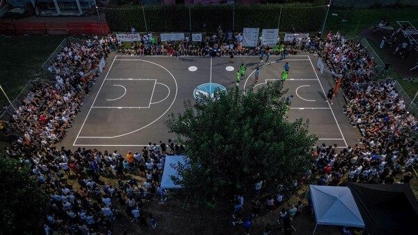 Master Cage basket Cavaria