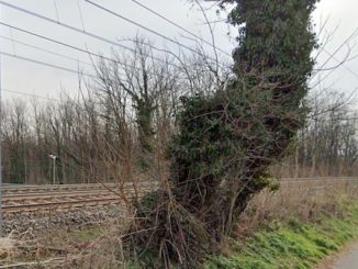 Castronno morto travolto treno