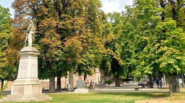 abbiategrasso alberi allea ambiente