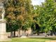 abbiategrasso alberi allea ambiente