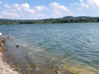 estate al lago varese
