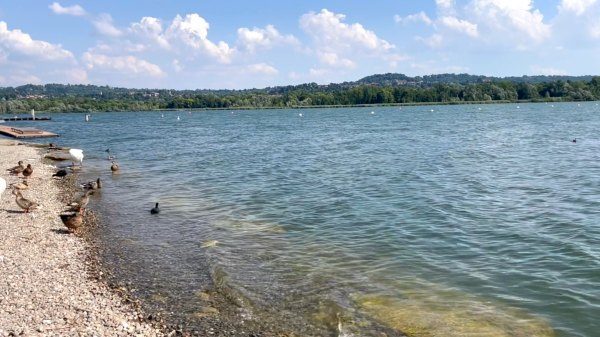 estate al lago varese