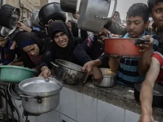 gaza genocidio panicidio