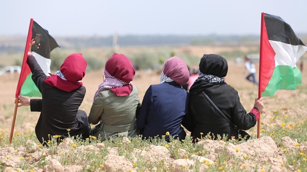 legnano franchi cantautore gaza 03