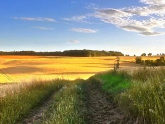 lombardia sereno temperatura pressione