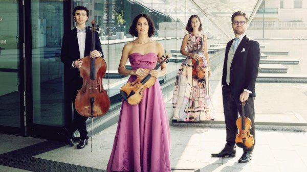 quartetto adorno brezzo di bedero