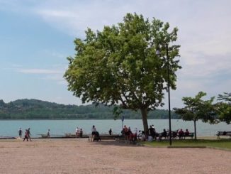 schiranna bagno lago varese