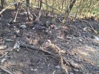 castanoprimo incendi polizialocale protezionecivile