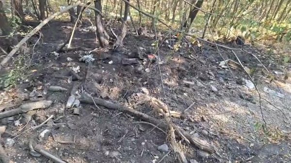 castanoprimo incendi polizialocale protezionecivile