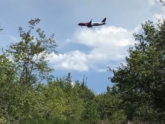 Malpensa lonate brughiera parco