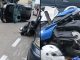 gallarate cane ragazzi
