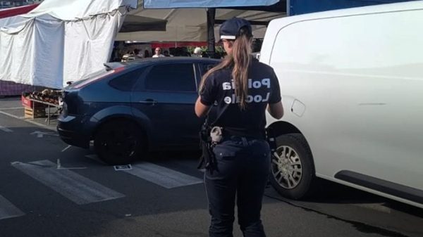 verbana mercato auto