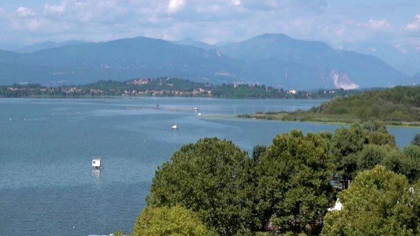 alghe lago varese balneazione