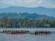 europei canottaggio varese date