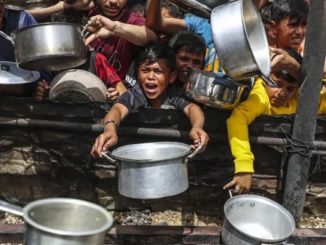 ferragosto guerra società