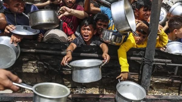 ferragosto guerra società