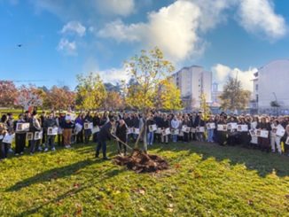 legnano studenti borse famiglialegnanese
