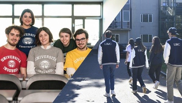 insubria liuc tavolo provincia