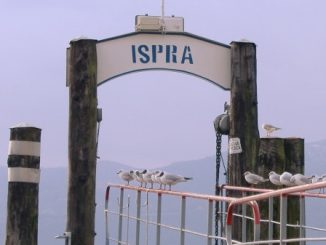 maggiore livello basso ispra