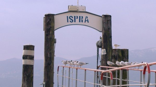 maggiore livello basso ispra