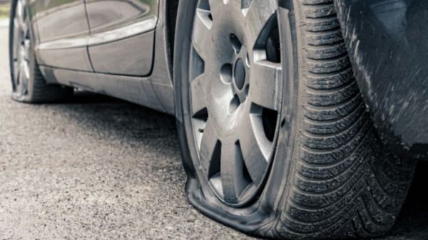 olgiate gomme bucate