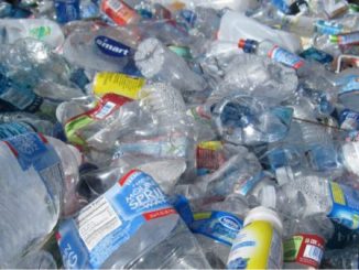 salute plastica microplastiche