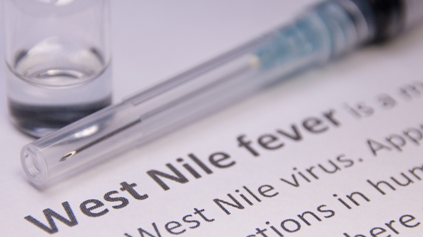 west nile dati lombardia