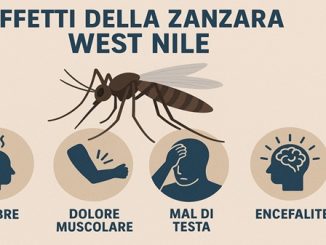 novara west nile