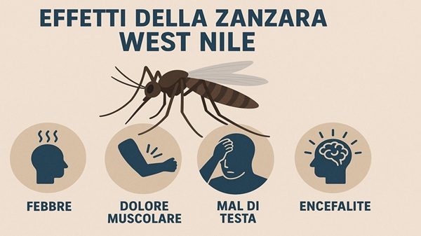 novara west nile