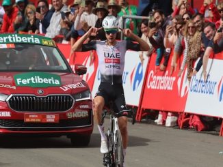 Uae Ayuso rescissione contratto