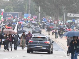 Vuelta manifestazioni Palestina Israele Guillen