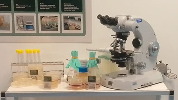 origgio farmaci probiotici opella microscopio
