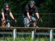 eventi finesettimana agenda altomilanese