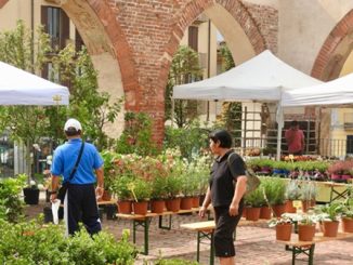 abbiategrasso eventi finesettimana castellovisconteo