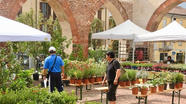 abbiategrasso eventi finesettimana castellovisconteo